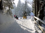 Tölzer Land: Blomberg Winterrodelbahn